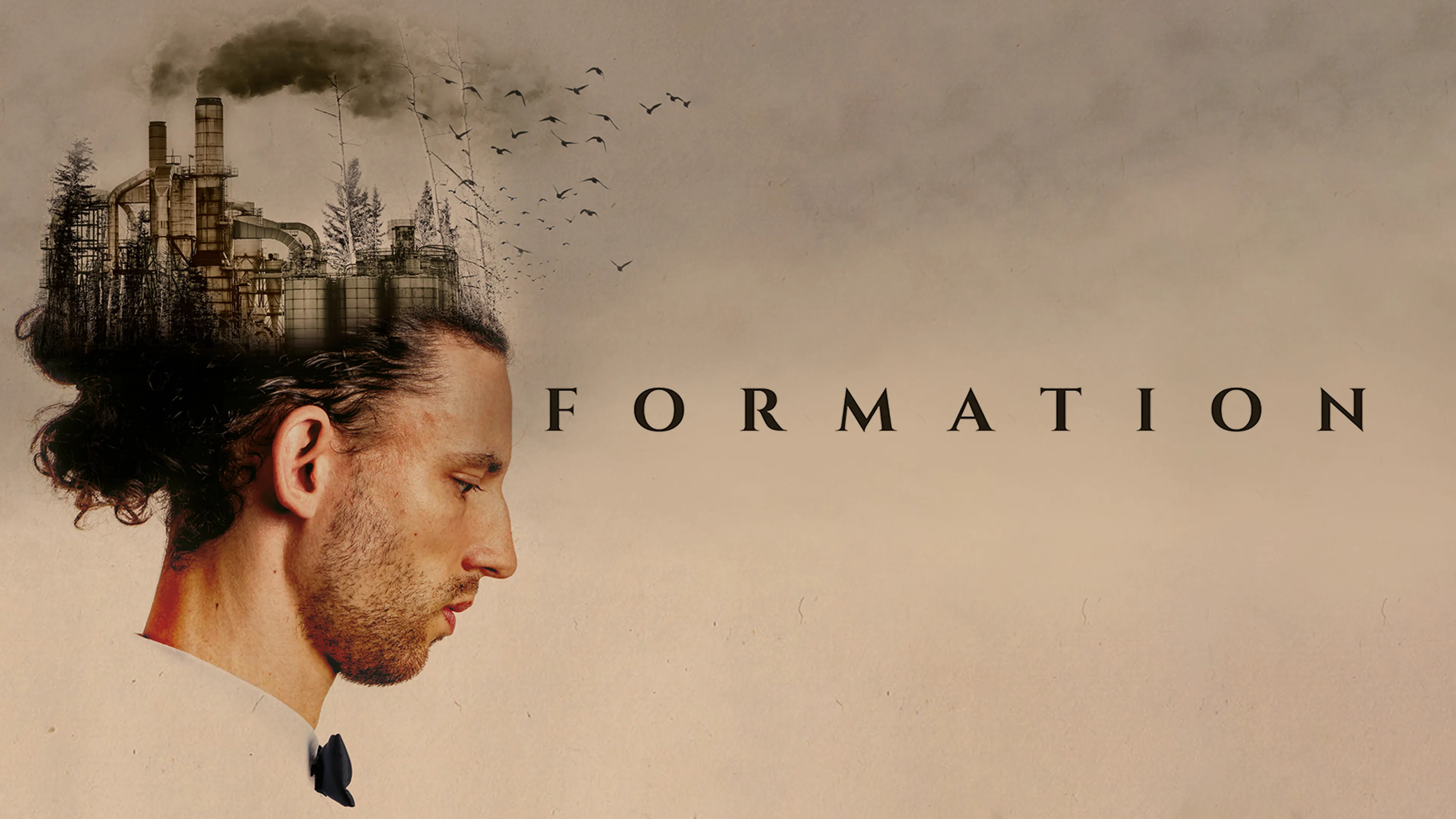 Formation poster